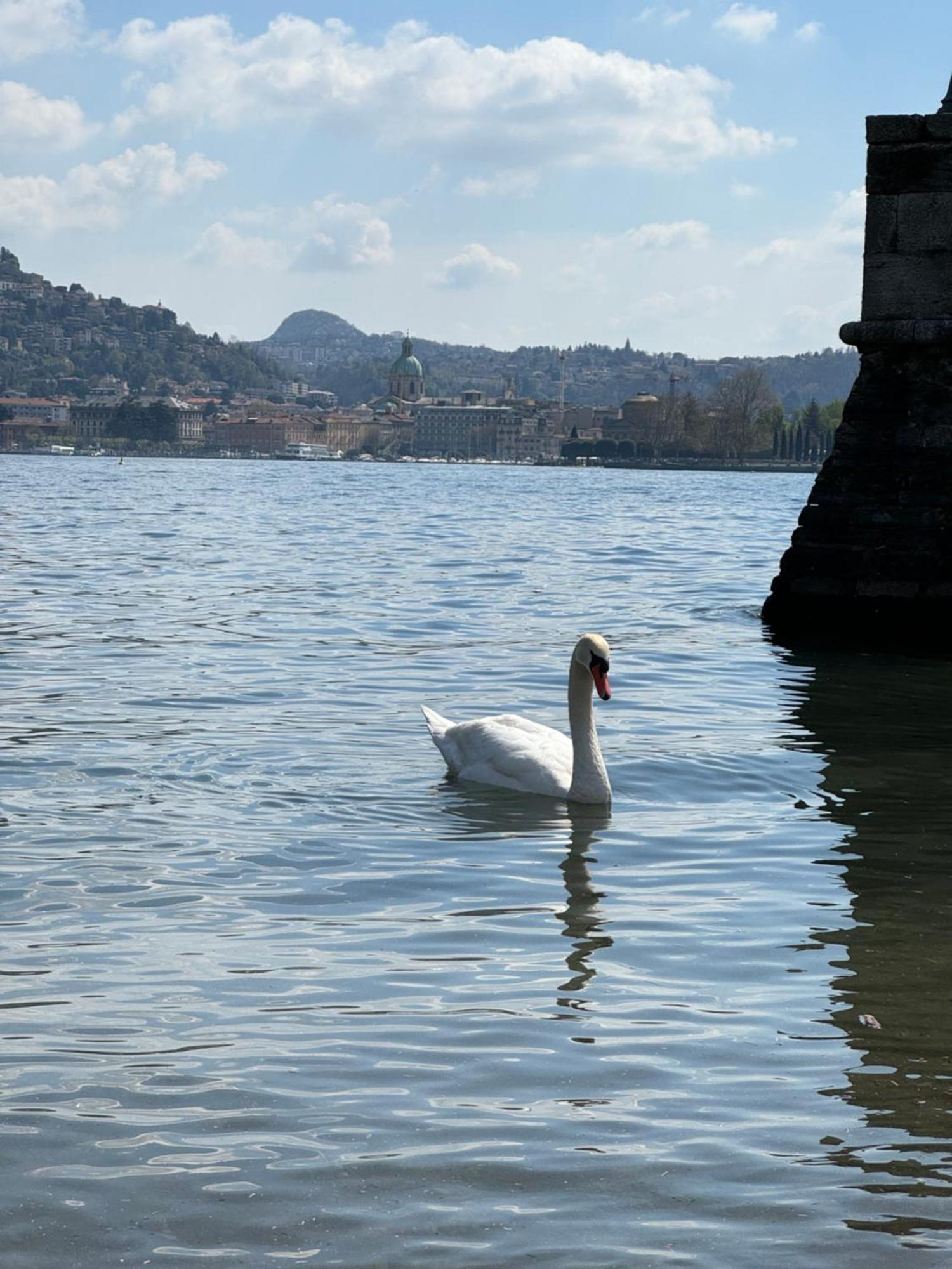 Portatorre Suite, A Charming Apartment In The Heart Of Como, Free Private Parking, Air Conditioning & More! Bagian luar foto